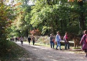 A la découverte de Marcilly-en-Villette et ses environs