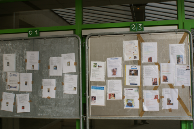 Le Conseil Municipal des Jeunes - Elections